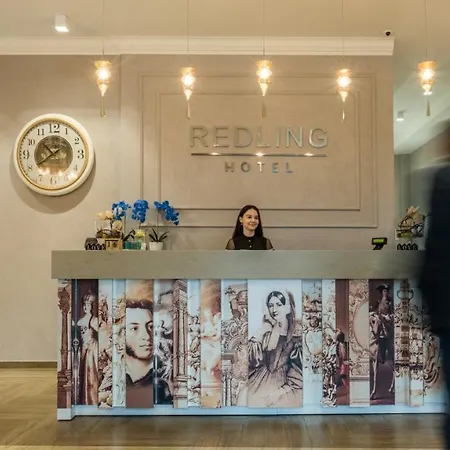 雷德灵酒店 酒店