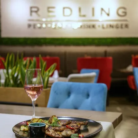 酒店 雷德灵酒店